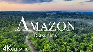 Amazon in 4K  The World’s Largest Tropical Rainforest  Aerial Drone  Scenic Relaxation Film [upl. by Rome]