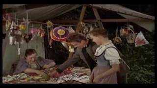 ☛☛ Film Der Schandfleck 1956 ☚☚ [upl. by Phaidra]