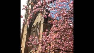 Greenbank Parish Church Service 16 March 2025 [upl. by Rosalie]