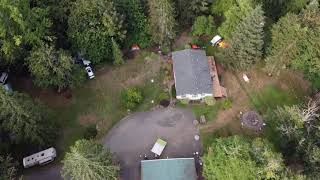 Vernonia Oregon Hemp Fields [upl. by Dleifniw]