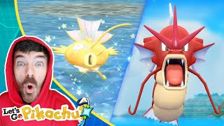 Shiny Magikarp amp Shiny Gyarados Caught Wild  Pokemon Lets Go Pikachu Extreme Shiny Living Dex [upl. by Gurango833]