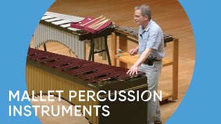 Guide to the Orchestra Mallet Percussion Instruments  Minnesota Orchestra [upl. by Rasaec]