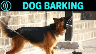 DOG BARKING SOUNDS  Free Dog Barking Sound Effect for Download [upl. by Hoban]