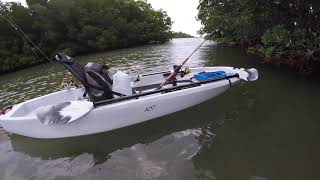 Ascend 10T Fishing Kayak Professional Review [upl. by Ellehcir817]