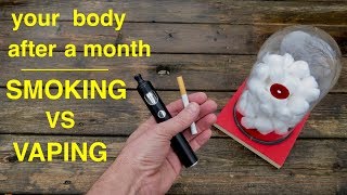 How Smoking vs Vaping Affects Your Lungs ● You Must See This [upl. by Laurel583]