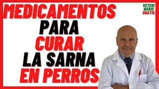 13 💚 MEDICAMENTOS para como CURAR la SARNA en PERROS Caracha o Jiote 💚 TRATAMIENTO rápido efectivo [upl. by Depoliti345]