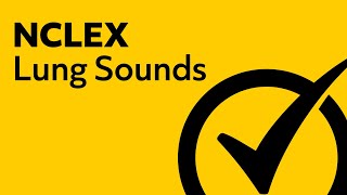 Lung Sounds  NCLEX Review [upl. by Barram]