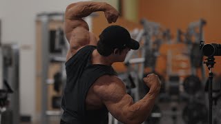 IFBB Pro Arm Workout [upl. by Ahsinnod]