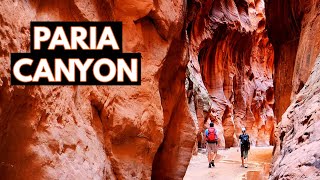 The Entire Paria Canyon to Buckskin Gulch 15 Miles Hiking [upl. by Cynthea]