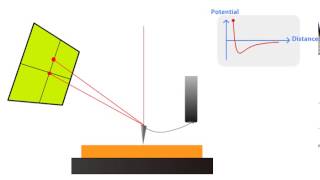 AFM Principle  How AFM Works [upl. by Ynafets]