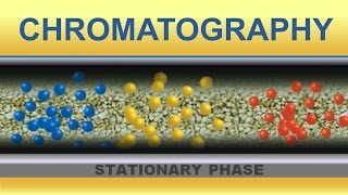 Chromatography Animation IQOGCSIC [upl. by Kerril]