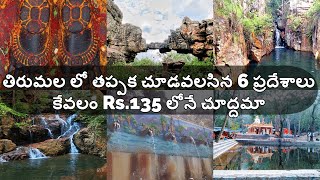 Tirumala places to visit in Rs135  Telugu  Tirumala surrounding temples info  Tirumala Part 1 [upl. by Eerahs303]