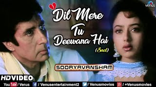 Dil Mere Tu Deewana HaiSad  Amitabh Bachchan amp Soundarya  Sooryavansham  Ishtar Music [upl. by Seftton320]