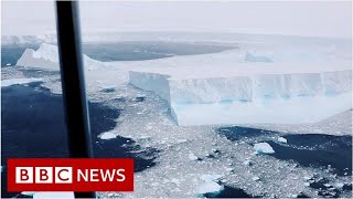 Video captures worlds biggest iceberg  BBC News [upl. by Anan]