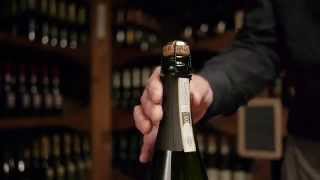 What is Prosecco [upl. by Yllop]