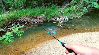 Action Packed Small Creek Fishing [upl. by Epuladaugairam]