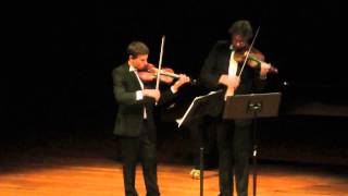 JHaydn Violin Duet in B Flat Major op99 1st movement [upl. by Clayberg612]