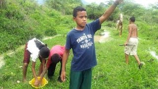 Lluvia de peces en Yoro  Honduras [upl. by Nadabas]