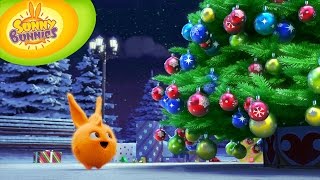 Videos For Kids  Sunny Bunnies 114  Christmas tree HD  Full Episode [upl. by Tereve184]