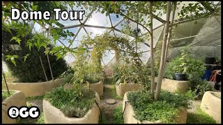 Lush Geodesic Dome Greenhouse in the Desert [upl. by Eisler]