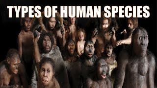 14 Different Types of Human Species  Explained [upl. by Darrelle]