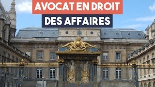 Avocats  la spécialité droit des affaires [upl. by Nollahs363]