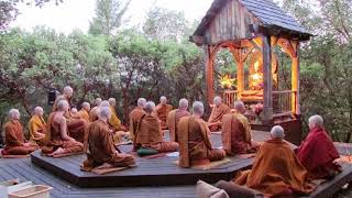 Pali Chanting In The Abhayagiri Buddhist Monastery  Theravada Buddhism [upl. by Mooney713]