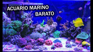 Acuario Marino Barato  Ep 01 [upl. by Anayaran]