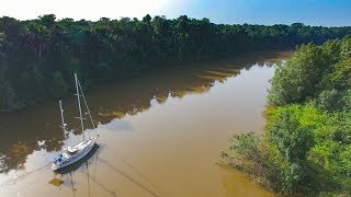 Our SAILBOAT up a South American Jungle River  Sailing Vessel Delos Ep 194 [upl. by Crelin]