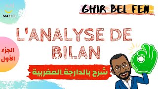 Analyse financier  Analyse de bilan part 1 [upl. by Yesoj783]