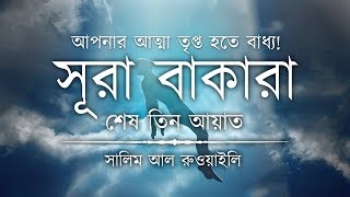 💖 আপনার অন্তর তৃপ্ত হতে বাধ্য┇ সূরা বাকারার শেষ তিন আয়াত┇Recited By Salem Ruwaili ┇An Nafee┇আন নাফী [upl. by Attenna493]