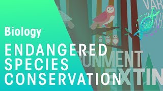 Endangered Species  Environment amp Ecology  Biology  FuseSchool [upl. by Niryt]