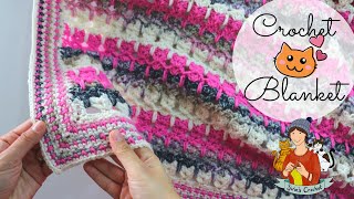 Crochet Cat Blanket  Beginner Friendly Tutorial [upl. by Heng249]