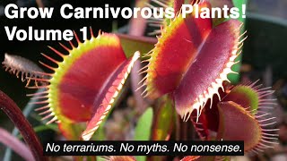 Grow Carnivorous Plants Volume 1  Venus Flytraps Sarracenia and Other Cold Hardy Plants [upl. by Kalasky87]