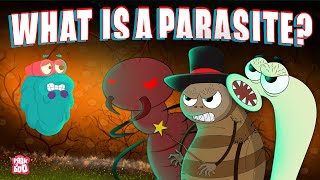 Could a Parasite Be Living Inside You [upl. by Llehsad]