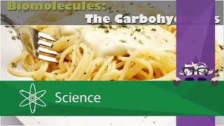 Biomolecules The Carbohydrates [upl. by Notloc]