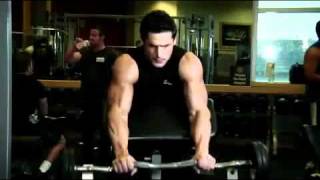 Biceps  Reverse Barbell Preacher Curls Exercise Guide [upl. by Ciel]