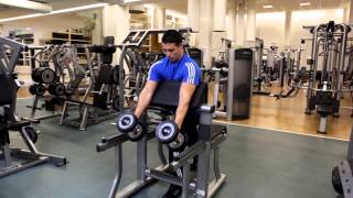 Preacher Hammer Curl  Biceps Exercises [upl. by Aihsei]