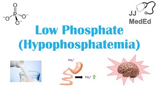 Low Phosphate Hypophosphatemia Causes Symptoms Treatment  amp Role of Phosphate Dietary Sources [upl. by Erdnaid]