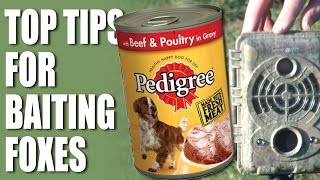 Top Tips for Baiting Foxes [upl. by Rodman]