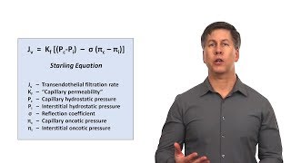 An Approach to Peripheral Edema [upl. by Nillok]