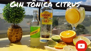 Gin com schweppes [upl. by Inaffit]