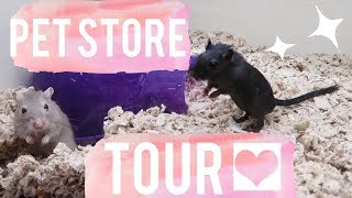 Pet Supplies Plus  Pet Supply Store Tour [upl. by Lebar475]