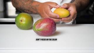 Choosing and Ripening Mangos [upl. by Ettenahs987]