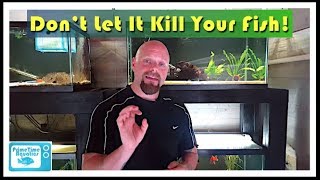 How to Lower Nitrites in an Aquarium [upl. by Atilehs421]