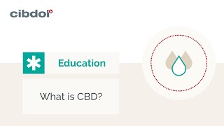 What is CBD  Educational  Cibdol [upl. by Akira311]