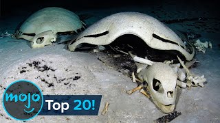 Top 20 Creepiest Things Found in the Ocean [upl. by Ativoj]