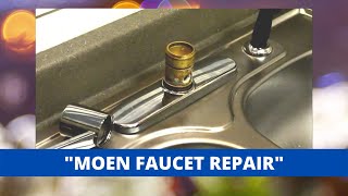 Moen Style Kitchen Faucet Repair [upl. by Naves]