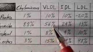 Lipoprotein Physiology Overview 14 [upl. by Swainson]