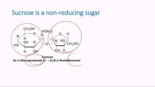 Nonreducing Sugars [upl. by Wolf]